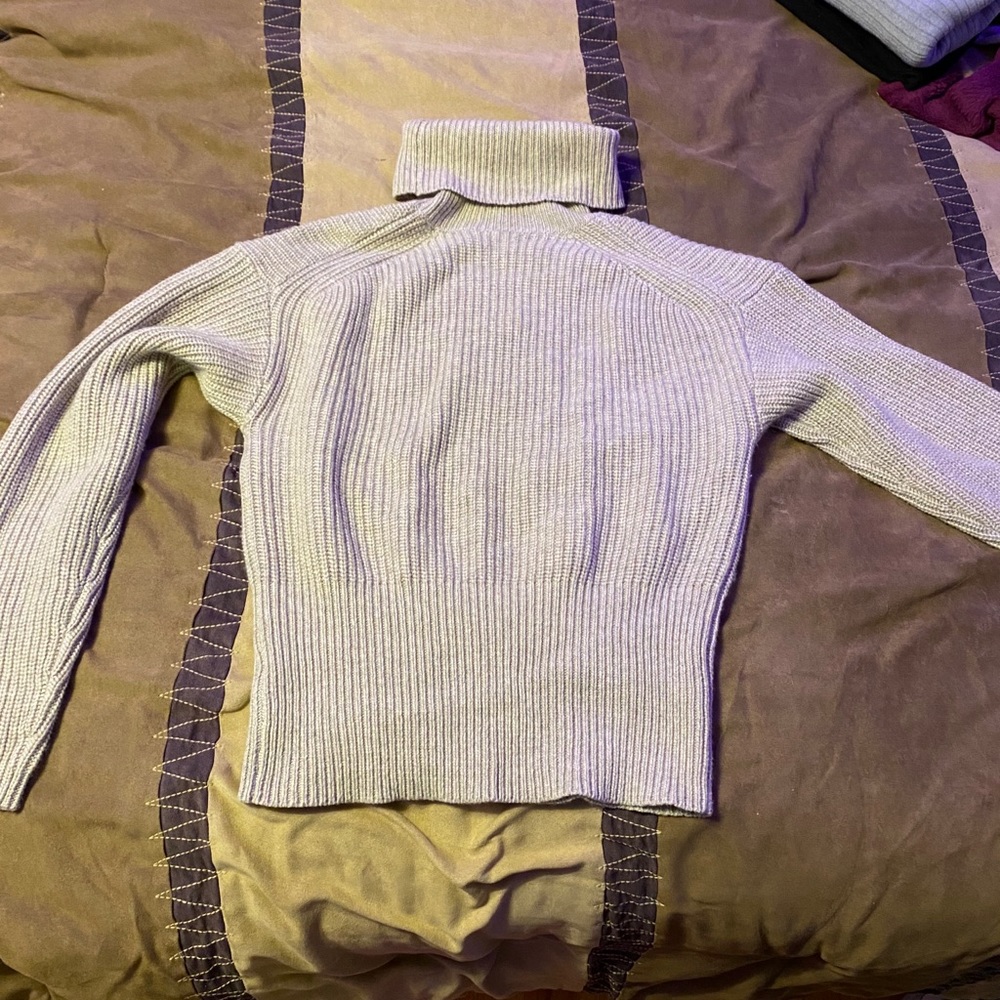 Everlane turtleneck sweater